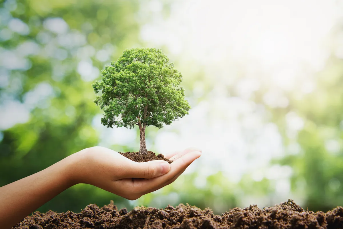 Materiais de construção ecológicos